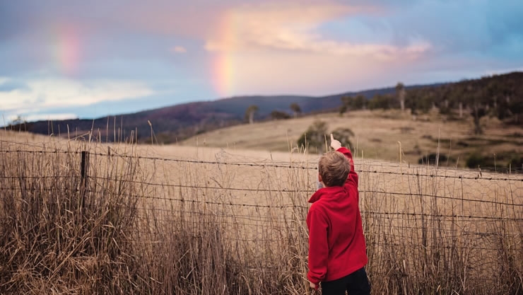 论紫微命盘，需要看对宫吗?