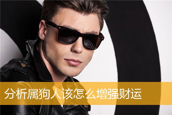 分析属狗人该怎么增强财运