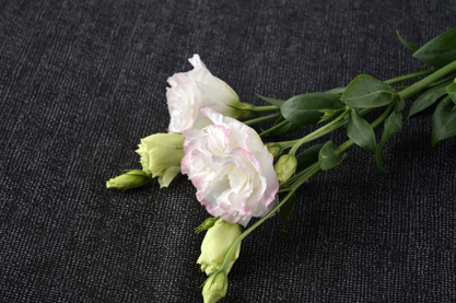 2022年6月30日出生女宝宝怎么起名好 端庄有气质女孩名