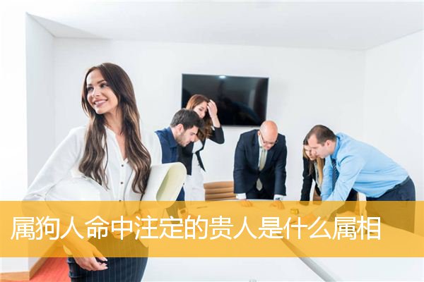 属狗人命中注定的贵人是什么属相