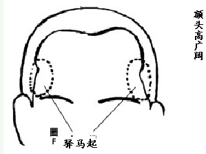 体相ML看哪些人容易有异国恋