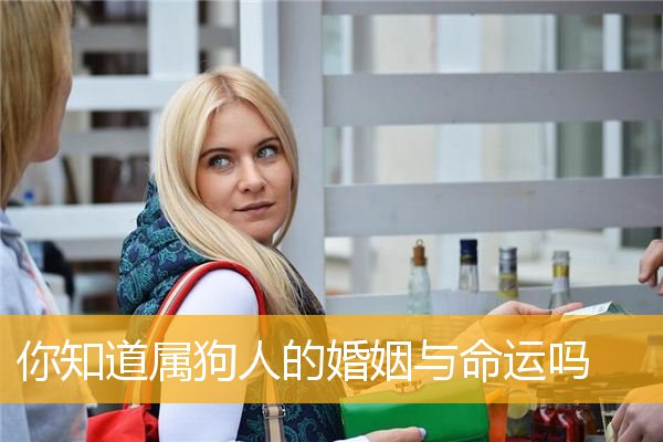 你知道属狗人的婚姻与MY吗