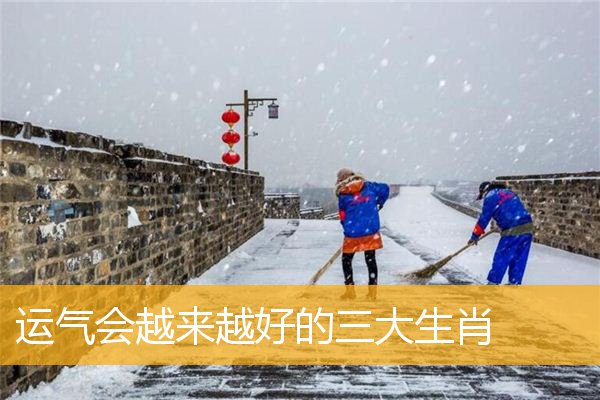 YQ会越来越好的三大生肖