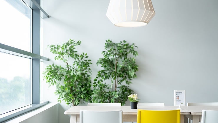 梅花易数：如何看物体形态ZB起GUA