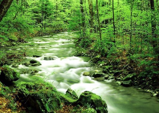 从WX属性看人爱情YS