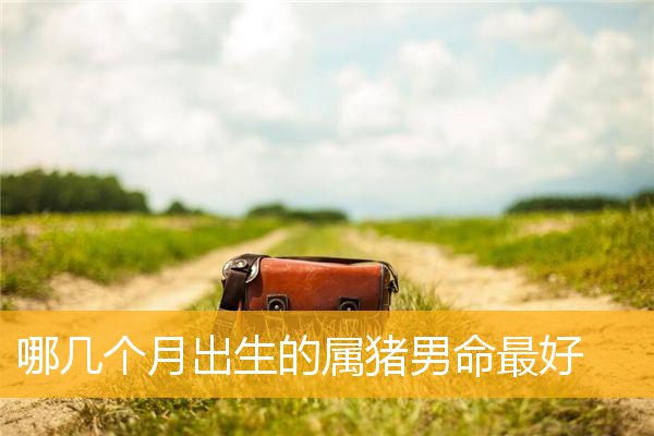 哪几个月出生的属猪男命最好