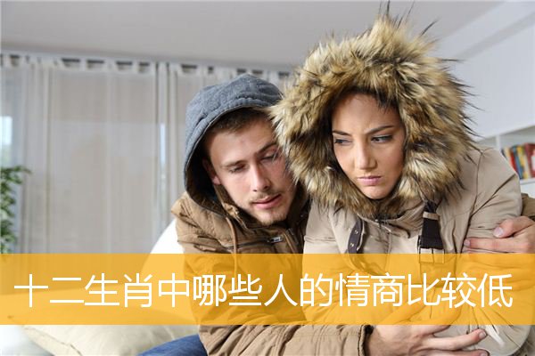 十二生肖中哪些人的情商比较低