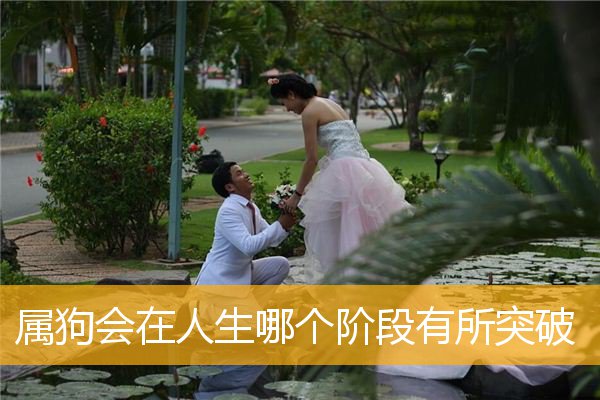 属狗会在人生哪个阶段有所突破