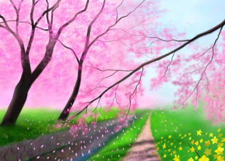 从出生节气看人MY