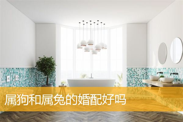 属狗和属兔的婚配好吗