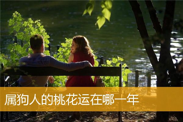 属狗人的桃花运在哪一年