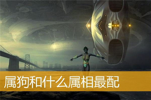 属狗和什么属相最配