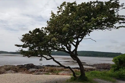 女鞋店铺名字大全集 聚人气旺财开店起名