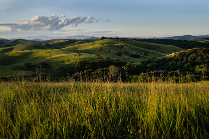 服装店什么名字带财运 高端洋气守财新店店名