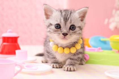 好听的品牌名字大全