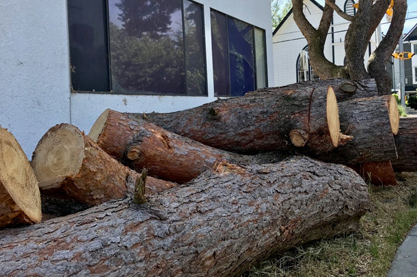 百货批发取名大全最新 简单响亮店铺名称