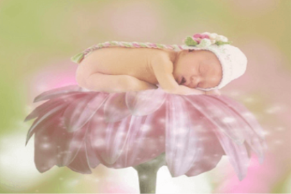 WX属木的字有哪些