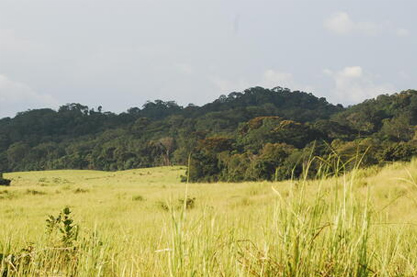 适合鞋店的名字大全 聚财旺事业店铺名字