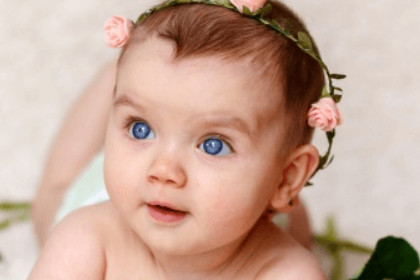 洋气的猪宝宝乳名大全