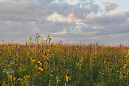2022年好听唯美女装店名 文艺复古店铺名字