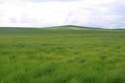 取女装店名有几个字最吉利 有内涵多福气好店名