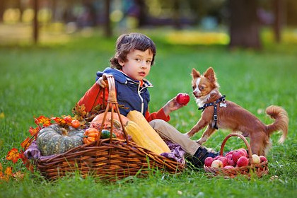 好听的男女宝宝小名