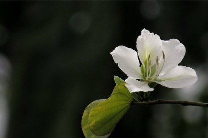 两个字的服装店名字 新颖洋气店名起名