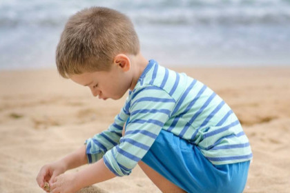 WX补木的18种方法