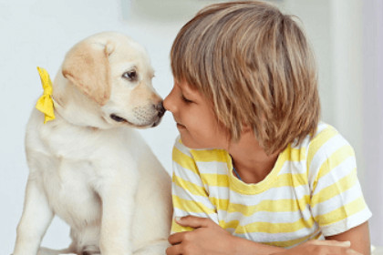 怎么用成语诗词起名