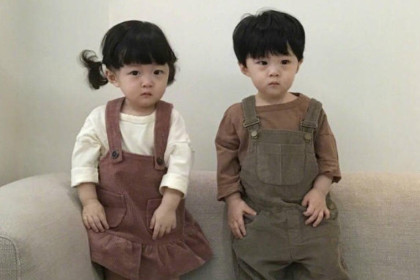 适合龙凤胎取名的成语