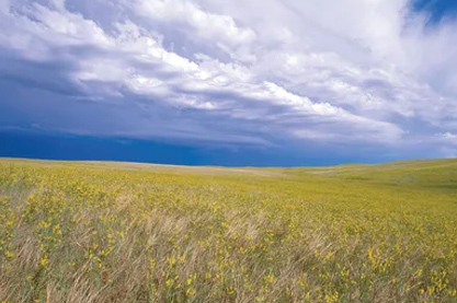 女服装店名字独特大气 响亮有创意店铺名称