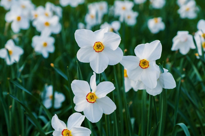 做生意必定红火的汉服店铺取名字 生活好不好看名字