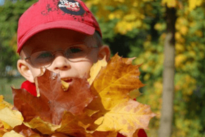楚辞中最唯美的名字
