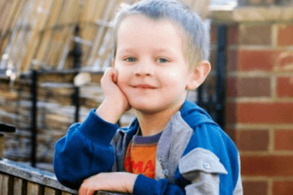 WX属木的汉字大全