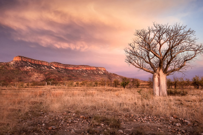 童装店名字简洁大气免费 店铺热门旺财运名字