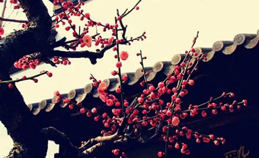 时尚大气的生活馆名字 最新洋气店铺取名大全