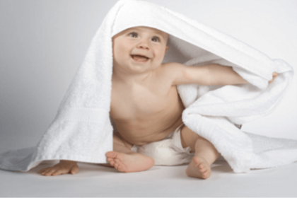 WX属木的汉字大全