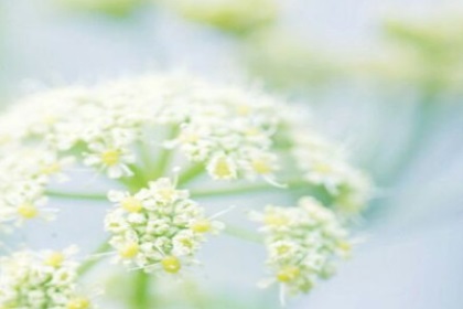 好听的设计公司名字大全