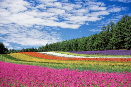 吸引人的童装店名好听新潮 新颖旺事业好店名称