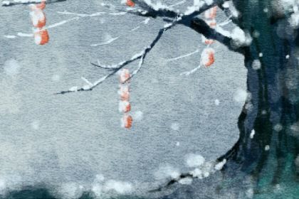 2023兔年农历三月出生的兔宝宝好吗 属兔男孩百年一遇的名字