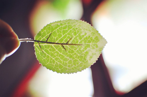 WX缺金补金的名字大全