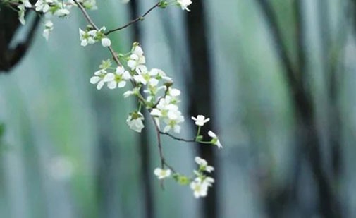 2022年霸气一点的公司名字 精选企业取名常用字