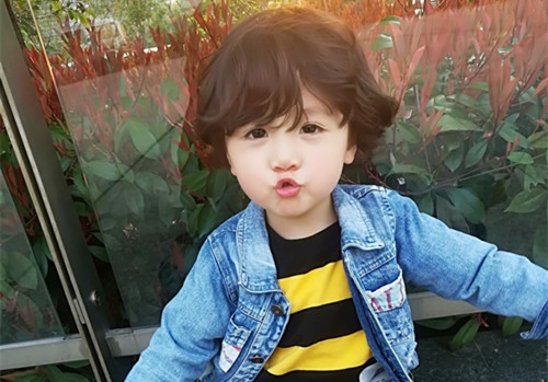 诗经安姓女孩起名