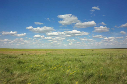 新开的餐饮公司叫什么名字生意好？旺财又旺人的餐饮公司名字