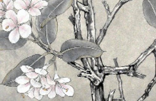 早餐店取个什么名字好 大气吸睛的店铺起名