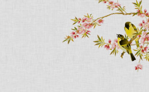 美容养生馆名字大全 美容行业佳名推荐