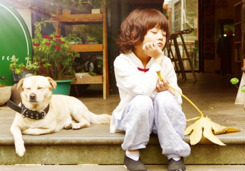 卓姓男宝宝取名