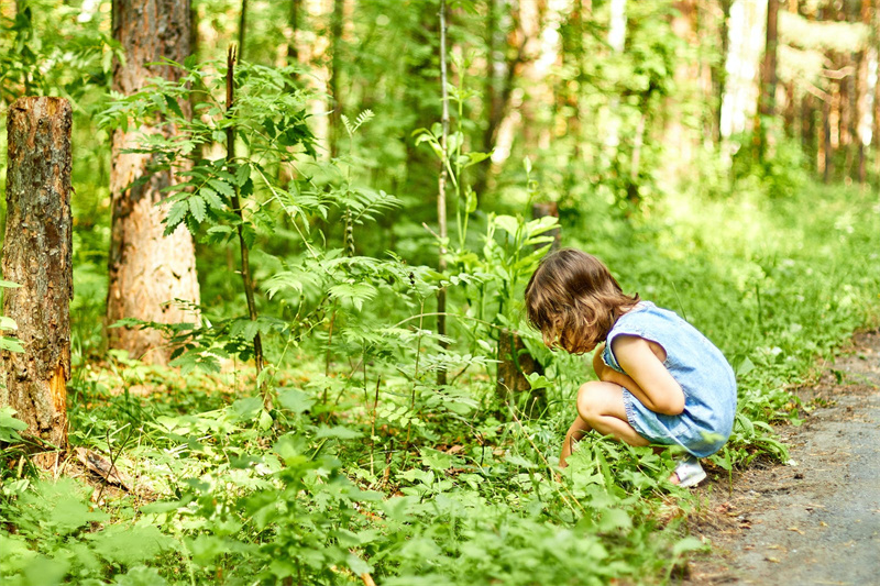 中间带妍字的女孩名字大全虎年 妍用于女孩名字寓意