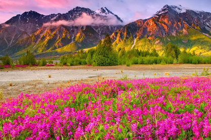 WX缺水公司名称怎么取 2022年WX属水的公司名字推荐