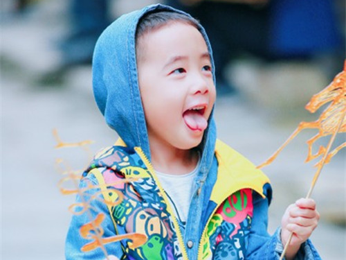 诗经中关于马姓男孩的名字